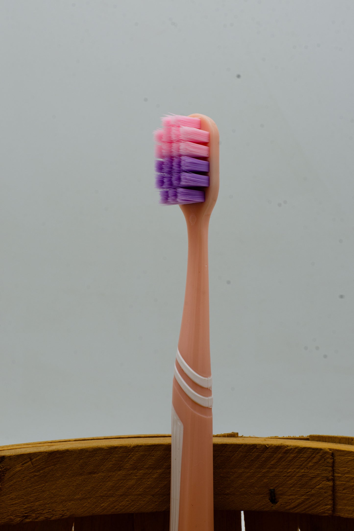 Toothbrush | Deep Clean | Colorful | Soft | 5000 Bristles | Halal | Yardlie