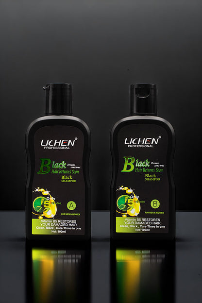 Hair Color Shampoo | Mixing Paste | Natural Black | Lichen | 200Ml