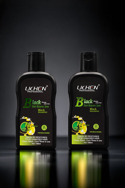 Hair Color Shampoo | Mixing Paste | Natural Black | Lichen | 200Ml